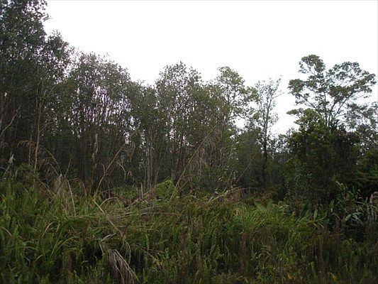 1st image of 11-2222 Jungle King Ave Lot 54