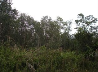 11-2222 Jungle King Ave LOT 54, Volcano, HI 96785