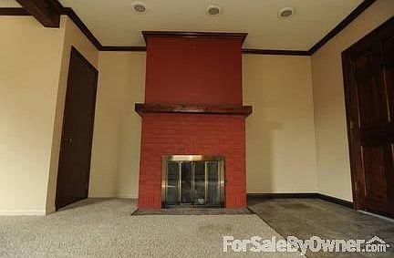 Wood burning fireplace