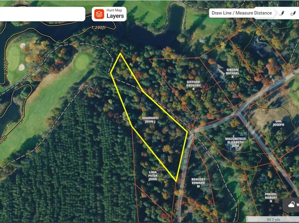 10 Longfield Dr, Lewiston, MI 49756