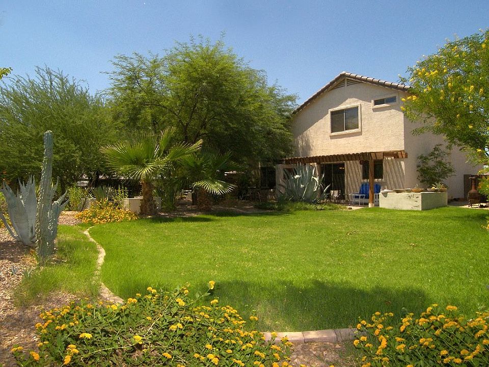 Backyard Escape
