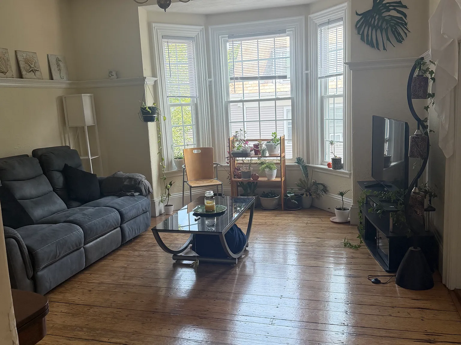 3 bed, 1.0 bath, 1850 sqft, $3,250 — Photo 4
