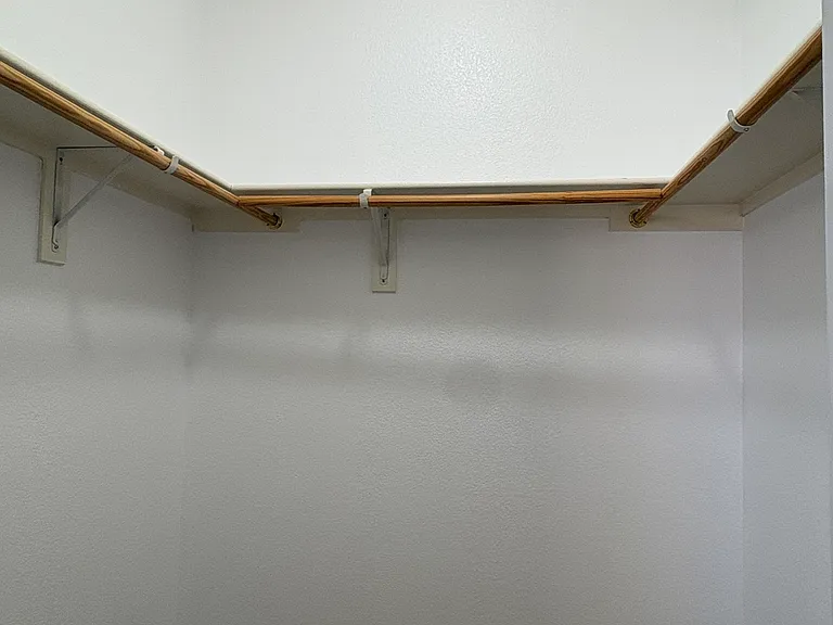 Primary Bedroom Closet