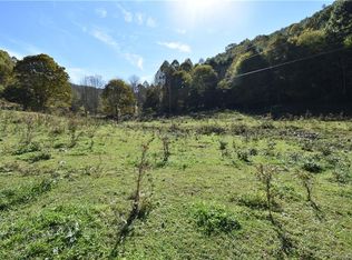 633 S Fork Rd, Marshall, NC 28753