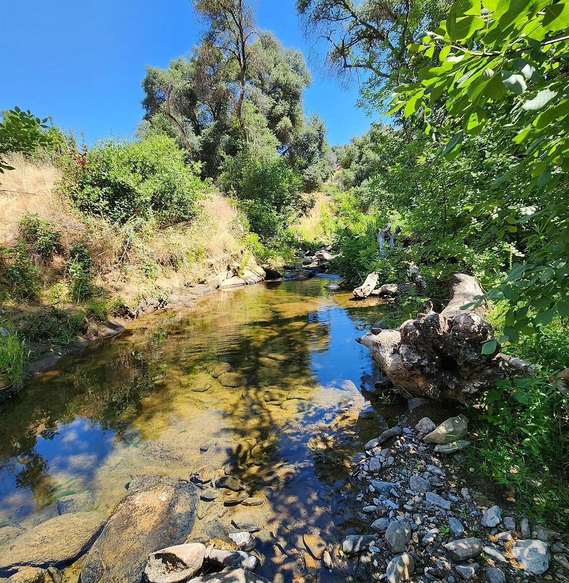 2341 Willow Creek Rd, San Andreas, CA 95249 Zillow