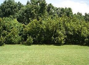5th image of 12318 Bramfield Dr