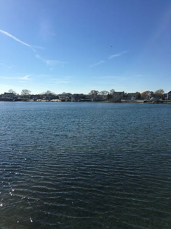 5 Lester Ave photo 1