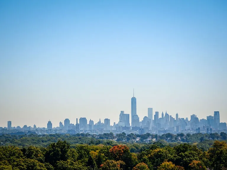 View from the Roof Deck!