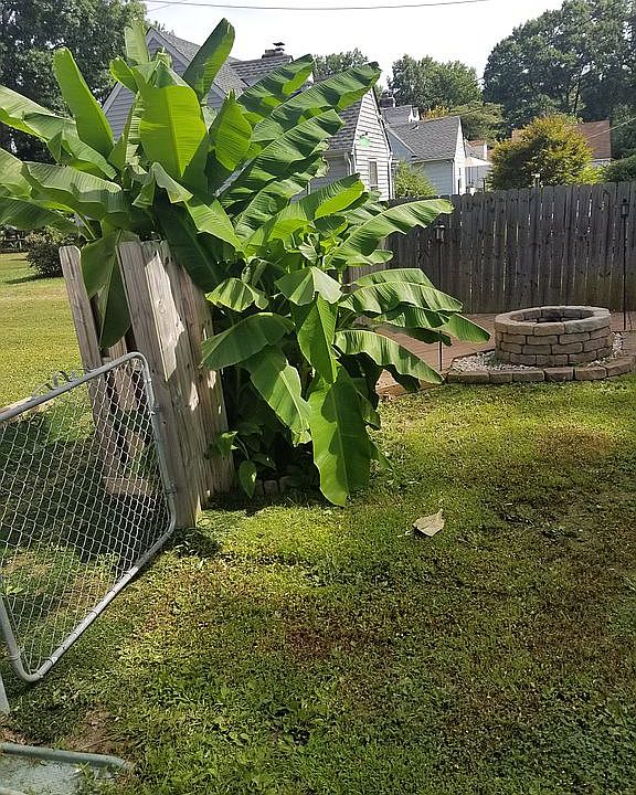 1st image of 108 Garland Ave