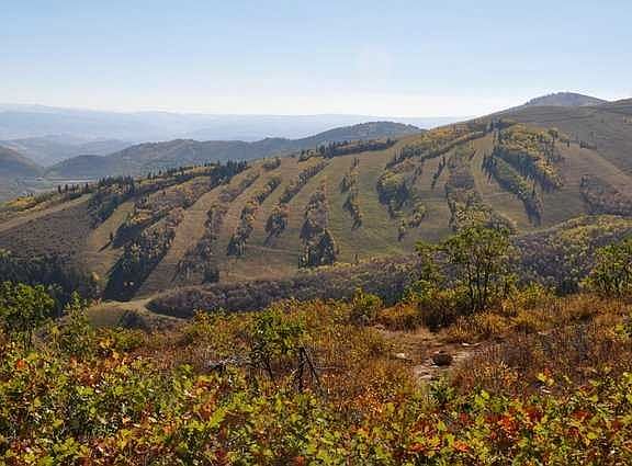 2nd image of 171 White Pine Canyon Rd