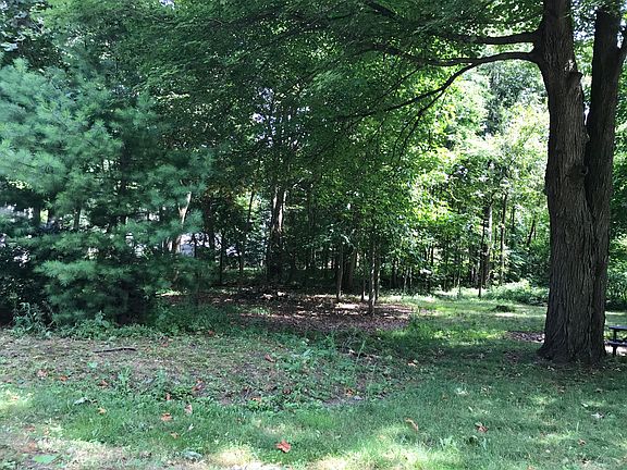 Partially Wooded view