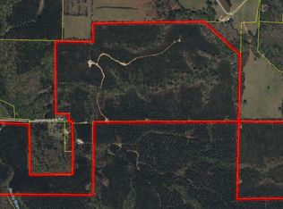 770 Williams Lane Rd, Shiloh, GA 31826