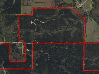 770 Williams Lane Rd, Shiloh, GA, 31826