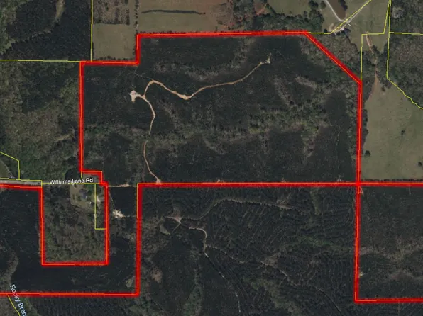 770 Williams Lane Rd, Shiloh, GA 31826