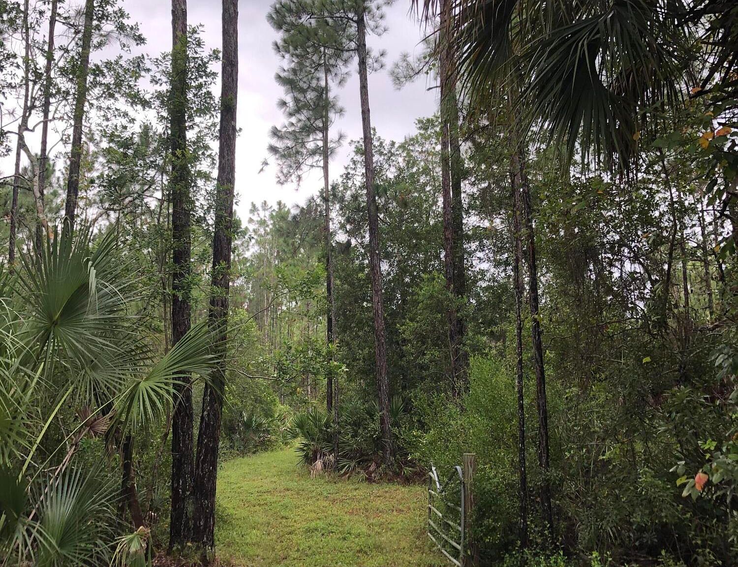 358 S Samsula Dr, New Smyrna Beach, FL 32168 Zillow