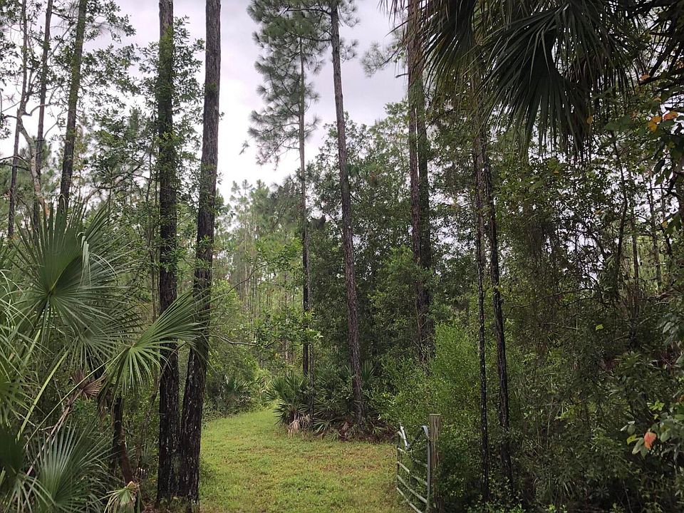 358 S Samsula Dr, New Smyrna Beach, FL 32168 Zillow