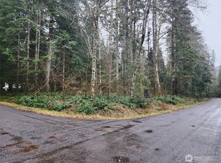 56519 380th Avenue Ct E, Ashford, WA