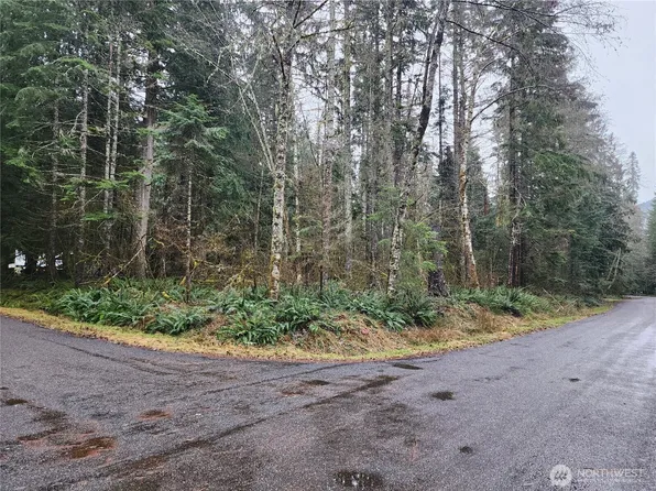 56519 380 Avenue Ct E, Ashford, WA 98304