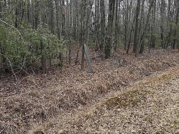 4th image of 1644 Pincushion Rd
