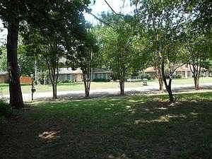 front yard