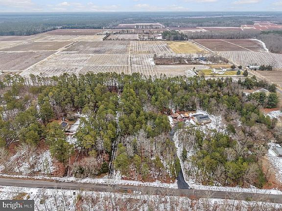 5th image of 3100 Neil Rd