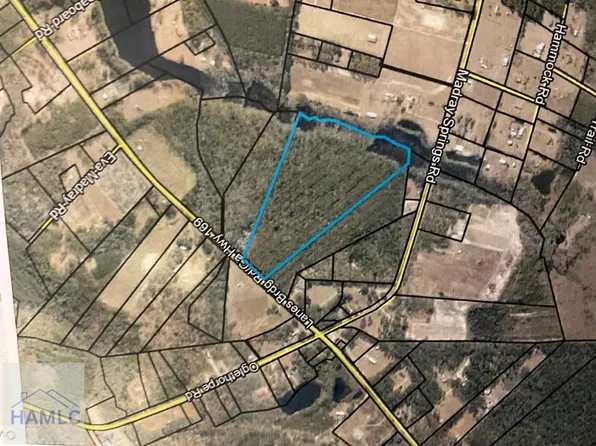 0 Lanes Bridge Rd, Odum, GA 31555