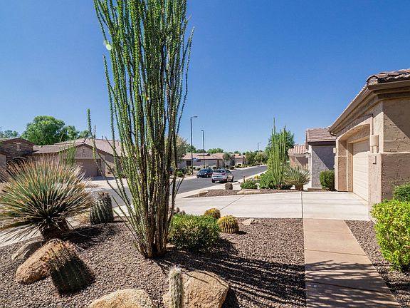 Desert landscaping front-1