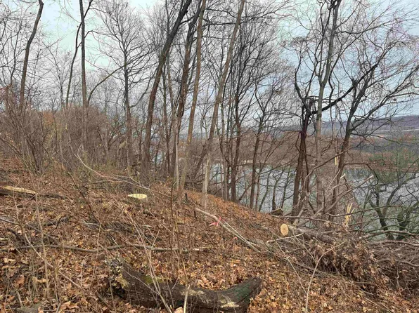 LOT 8 Blue Heron Ln, Guttenberg, IA 52052