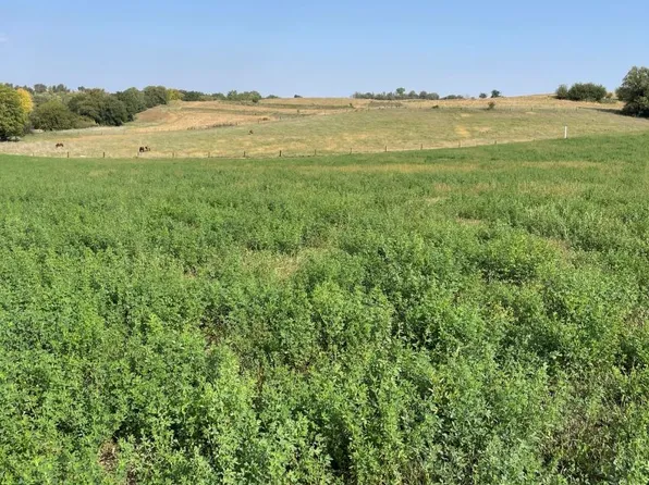 24624 Ingrum Ave, Glenwood, IA 51534