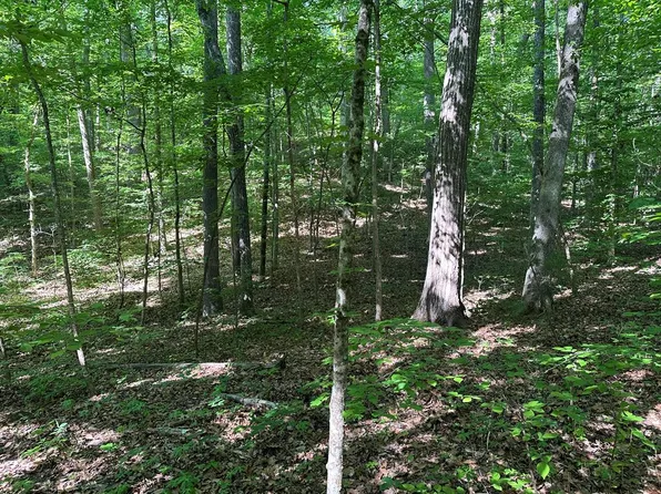 1.3 Acs Monacarn Ct, Clarksville, VA 23927