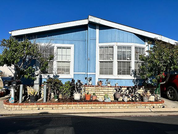 2 nectarine trees included!