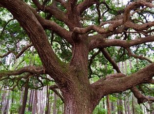 177 Bridle Path Blvd, Hardeeville, SC 29927