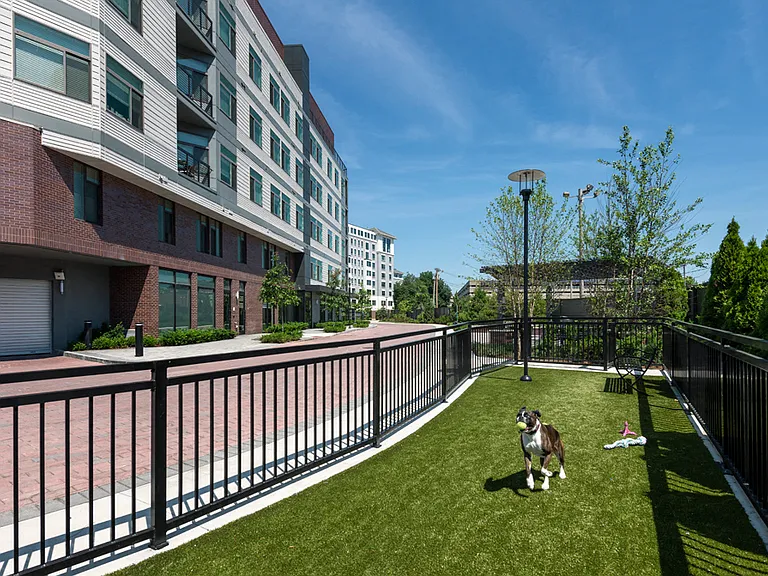 Luxe at Alewife — Photo 10