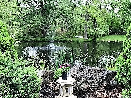 Pond on property