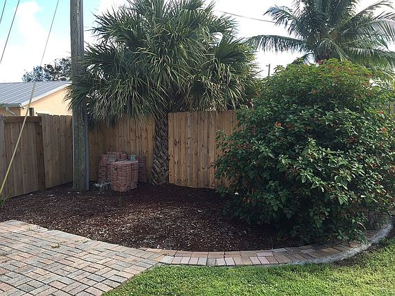 Back yard