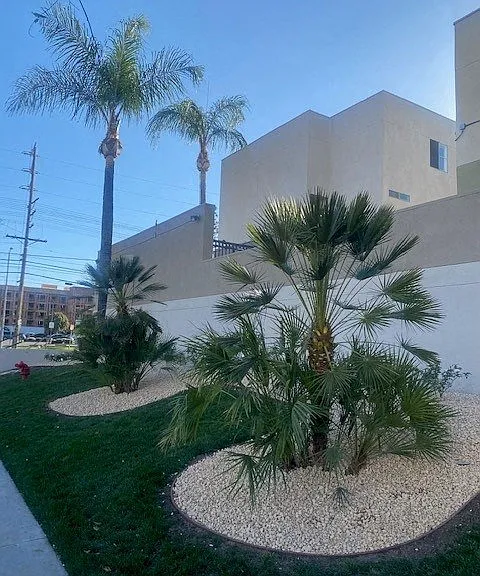 Luna Warner Center — Photo 1