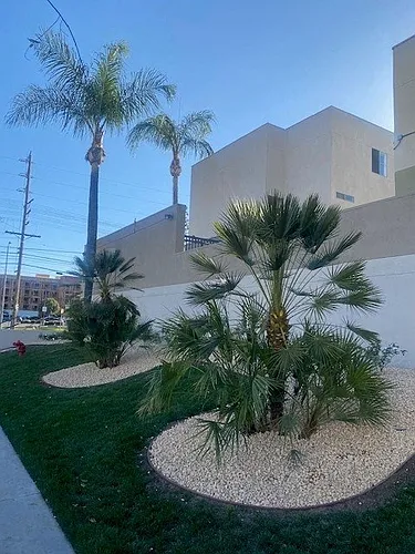 Luna Warner Center Photo 1