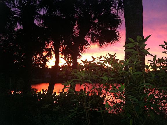 Sunrise