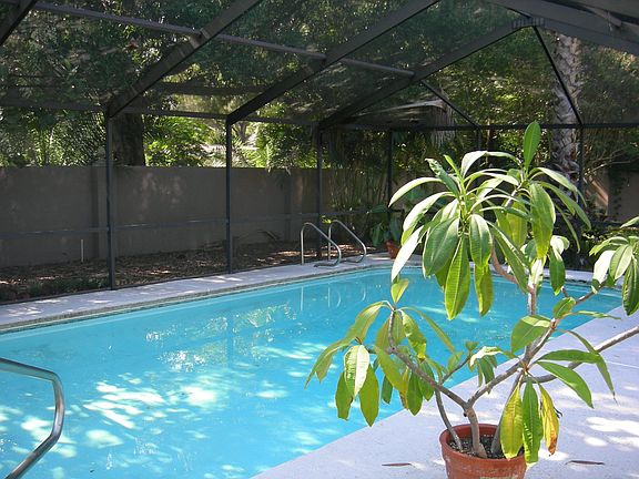 Large Pool