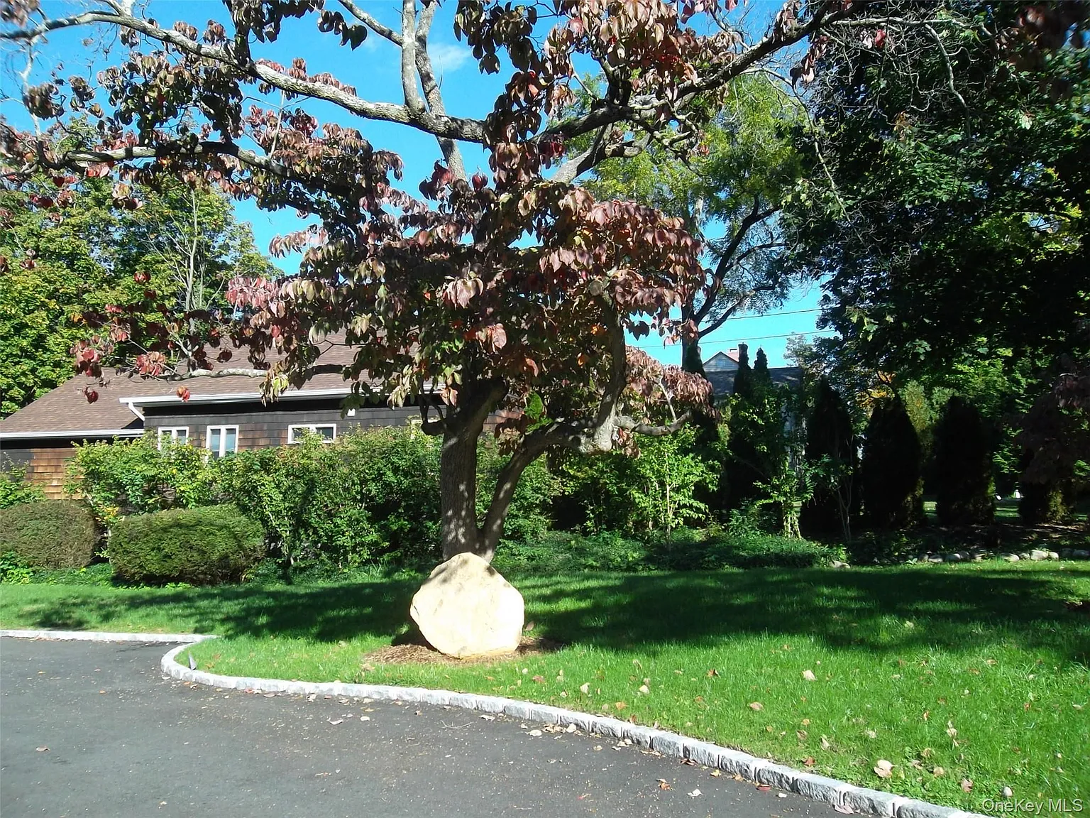 1 bed, 1.0 bath, $3,150 — Photo 4