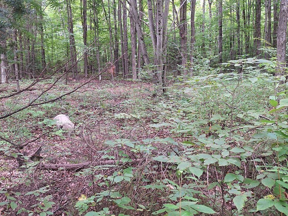 1st image of 1881 Woodland Trl