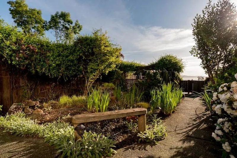 Hollman Ln, Sebastopol — Photo 4