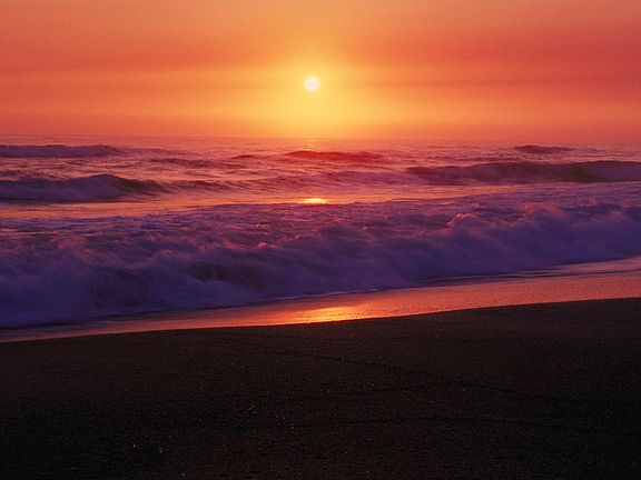 Beach and surf fishing