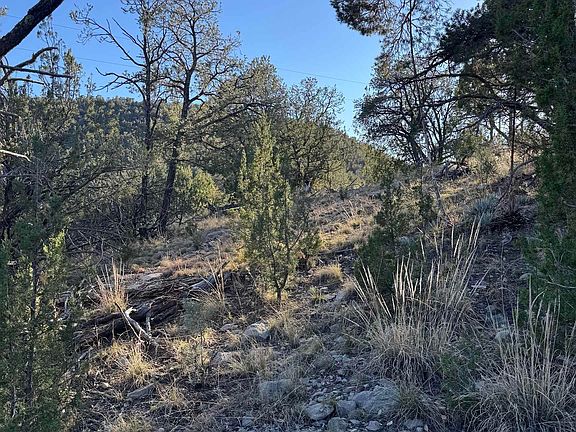 3rd image of 80 Longfellow Rd