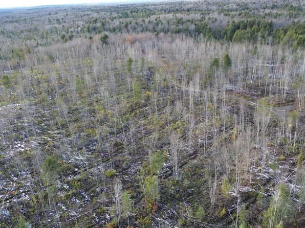 Us Highway 141, Covington, MI 49919