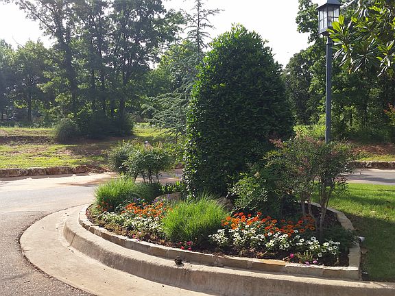 3rd image of Lot 001 Block 004 Woody Creek Court