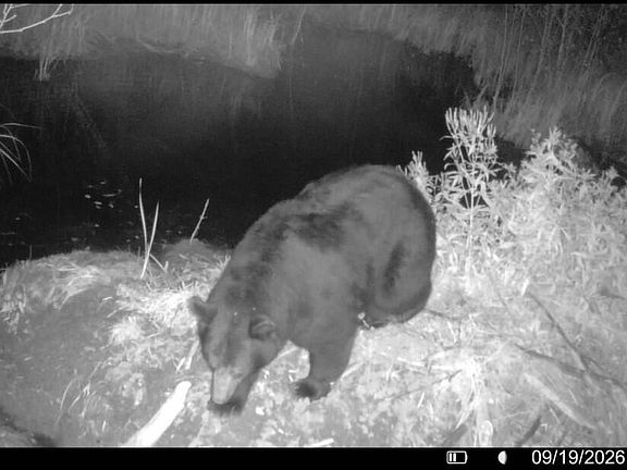 5th image of 5403 Griffin Rd