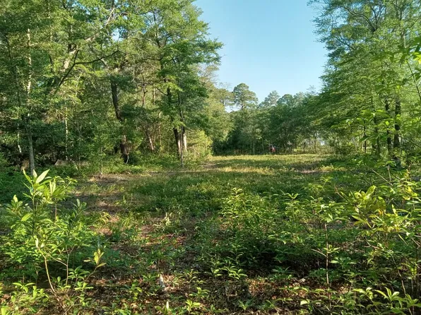 164 Chicora Ct Lot 34, Manteo, NC 27954