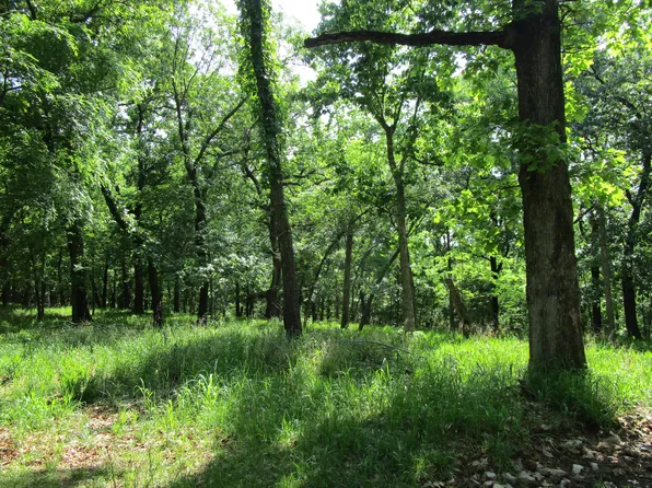 Sage Grouse Cir, Afton, OK 74331