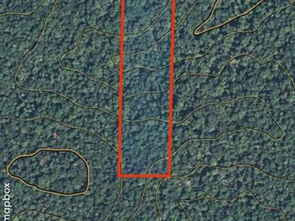 0 W Of Hwy #21, Grandin, MO 63943